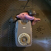 Bild von Dagmar Knecht