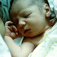 Bild von Paul Vinicius Ellinger