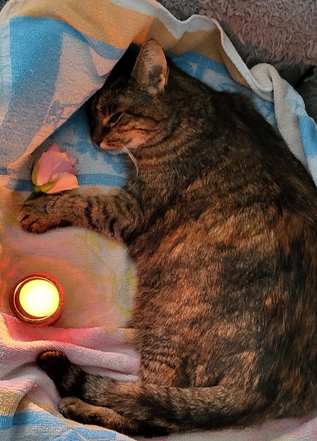 Bild von der Gedenkseite für Eva Christina Peter