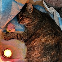 Bild von Eva Christina Peter