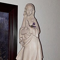 Bild von Christa de Vries