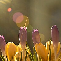 Bild von Dieter & Lissy