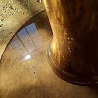 Bild von Rainer Liepold