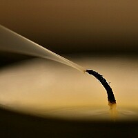 Bild von Rainer Liepold