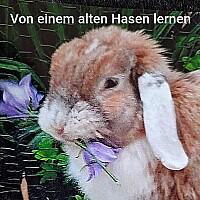 Artikel von Rainer Liepold