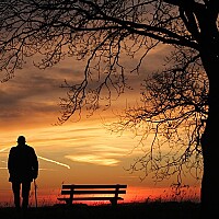 Bild von Rainer Liepold