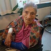 Bild von Margot Vogel