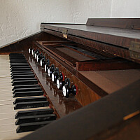 Bild von Dr. Johanna Nolda