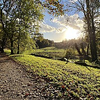 Bild von Viola Schöll