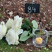 Bild von Elisabeth Schneider