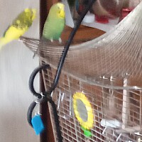 Bild von Joachim Hein