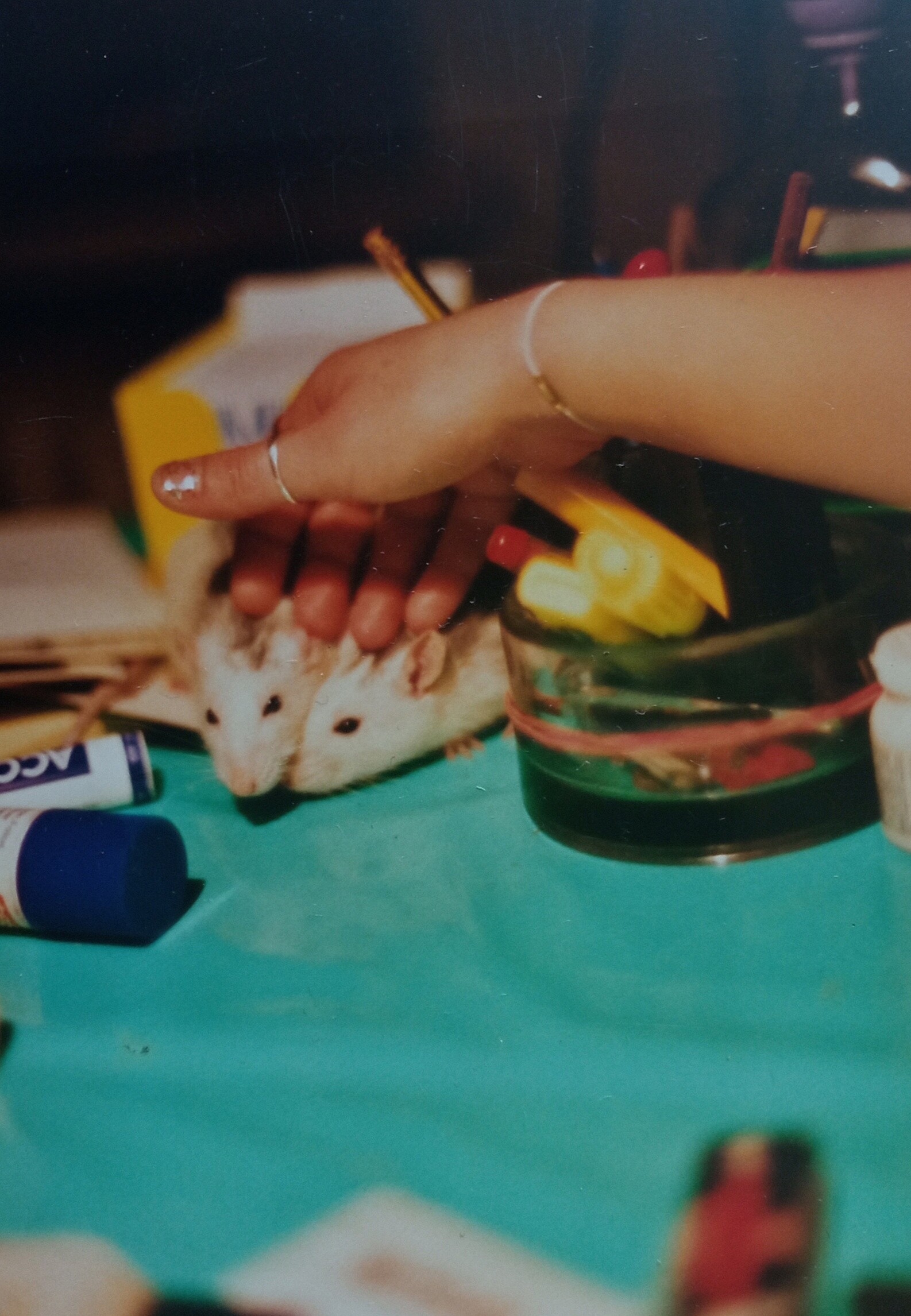 Bild von der Gedenkseite für Janine Wolff