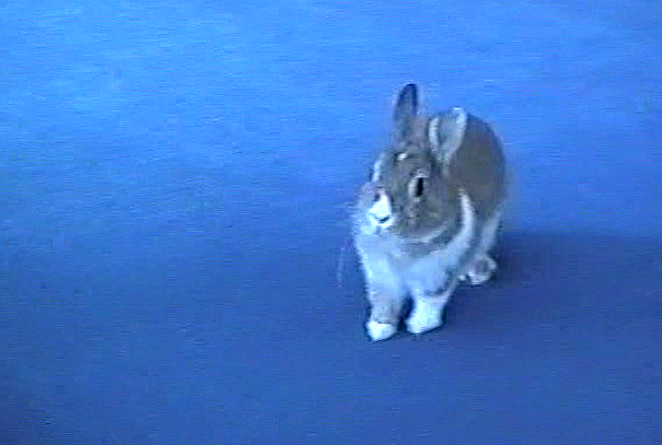 Bild von der Gedenkseite für Wolfgang Fritz