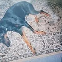 Bild von Wolfgang Fritz