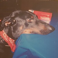 Bild von Janine Wolff