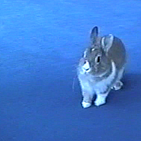 Bild von Wolfgang Fritz