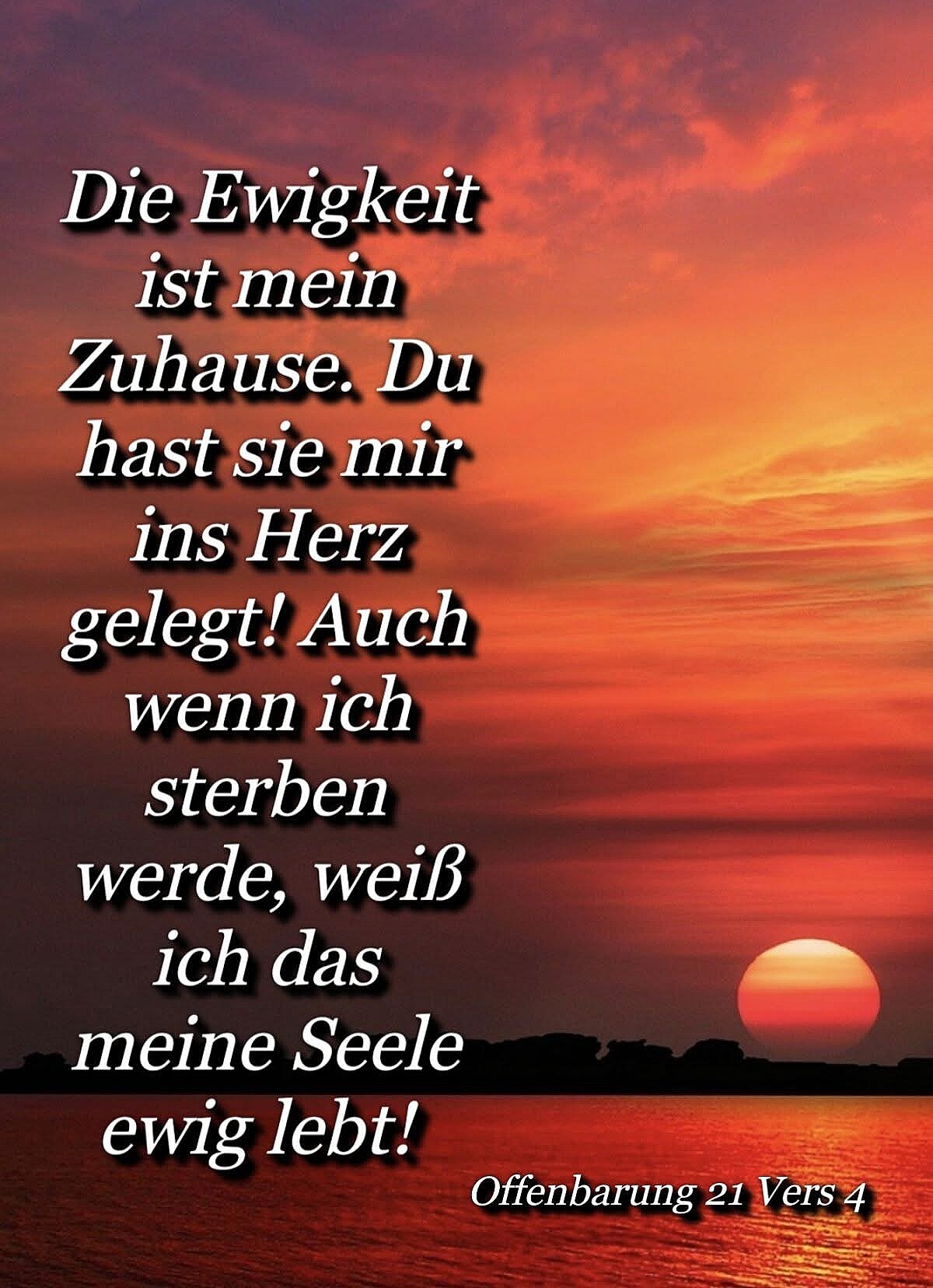 Bild von der Gedenkseite für Amiran , Tato Chikashua