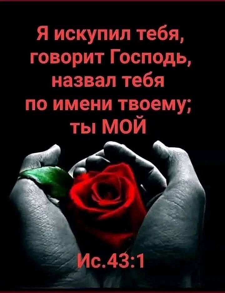 Bild von der Gedenkseite für Amiran , Tato Chikashua