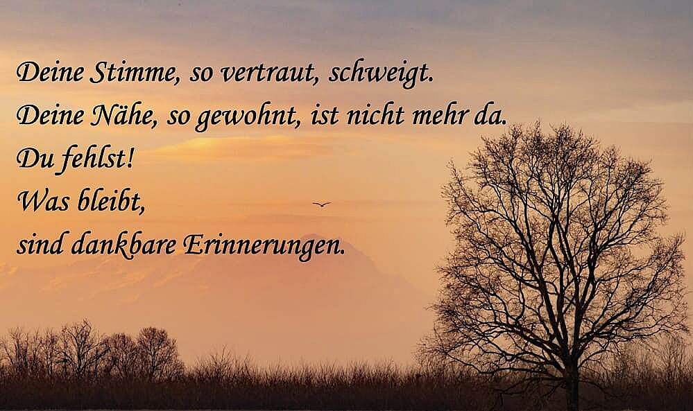 Bild von der Gedenkseite für Amiran , Tato Chikashua