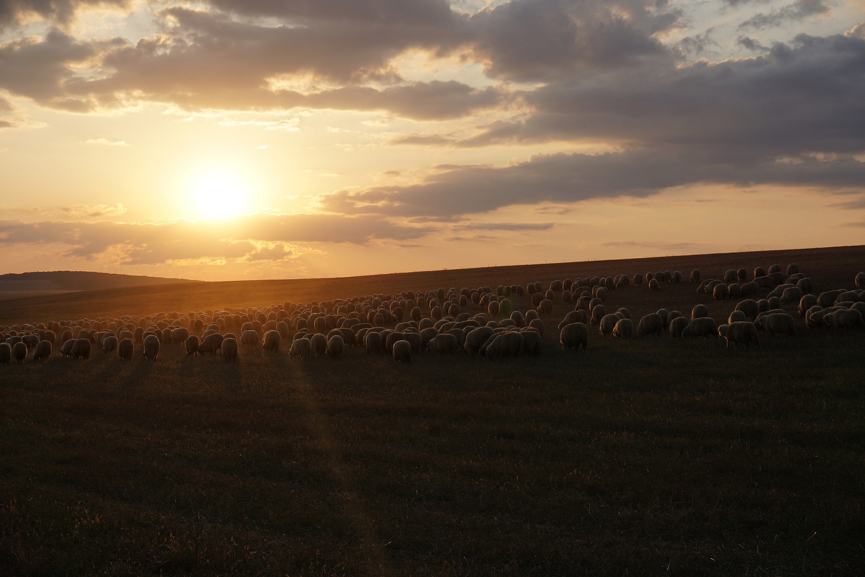 Bild von der Gedenkseite für Hans Berger